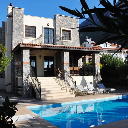Olive Ovacik Fethiye