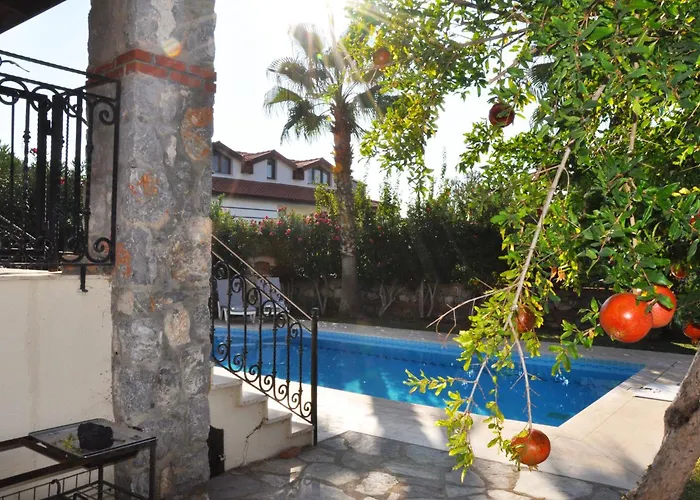 Vila Olive Ovacik Fethiye